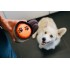 Play- Pup Cup - Giocattoli per cani - Caffe e Latte
