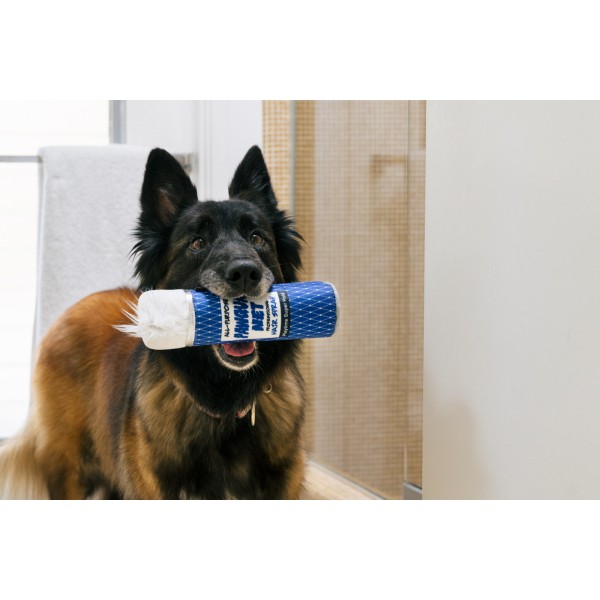 Play- Anni 80 - Giocattolo per Cani - Lacca per Capelli