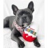 PS - Gioco per cani Uovo Pupper Surprise