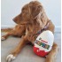 PS - Gioco per cani Uovo Pupper Surprise
