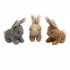 EN_ Bunnies - 18 cm - Pack of 3 pieces - Toy for Dogs