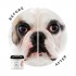 Eye Envy - Bulldog Wrinkle Wipes  - 60 Salviette