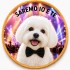 Dolci Impronte | Italian love phrases on a Biscuit 42g