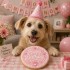 Dolci Impronte | Confezione 3 pezzi Birthday Round Cake Rosa 110 gr