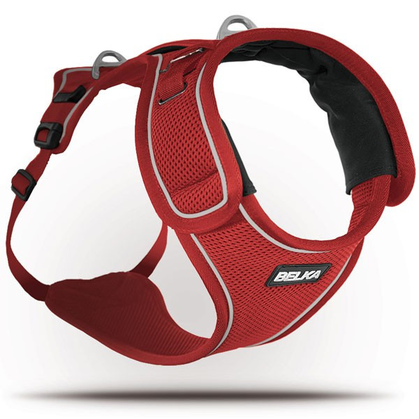 automatic fish feeder australia