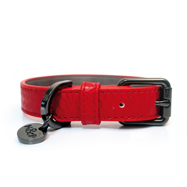 collar leash