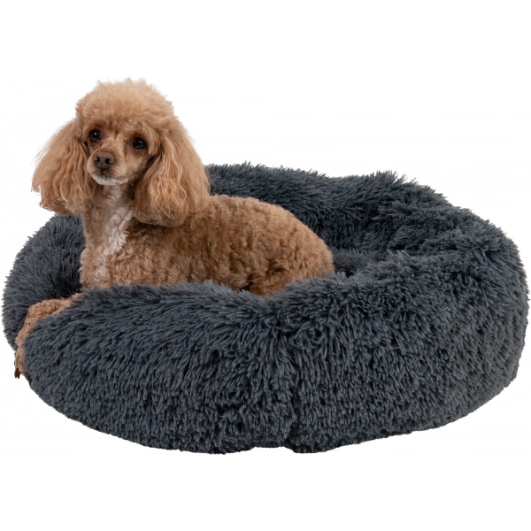 high up dog bed