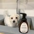 Eye Envy - Tear Stain Facial Cleanser Detergente schiumogeno per Musetto di Cani e Gatti - 250 ml