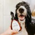 Eye Envy Tear Stain Facial Cleanser for Dogs and Cats - 250 ml